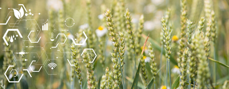 Crops grow in a field, surrounded by nourishing icons